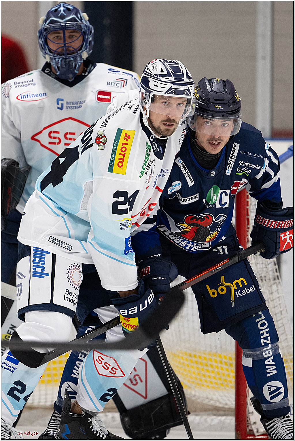 PENNY DEL 1; Testspiel Iserlohn Roosters - Dresdner Eislöwen; Köln, 15.08.2025