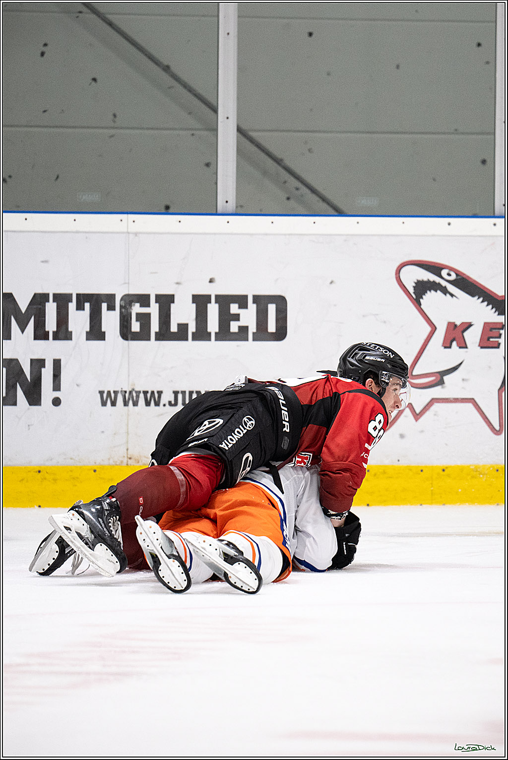 PENNY DEL 1; Testspiel 2 Koelner Haie - Tappara Tampere; Koeln, 16.08.2025