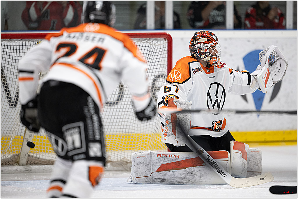 PENNY DEL 1 -Testspiel Kölner Haie - Grizzlys Wolfsburg; Köln, 03.09.2025