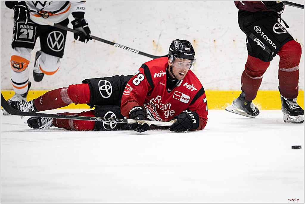PENNY DEL 1 -Testspiel Kölner Haie - Grizzlys Wolfsburg; Köln, 03.09.2025