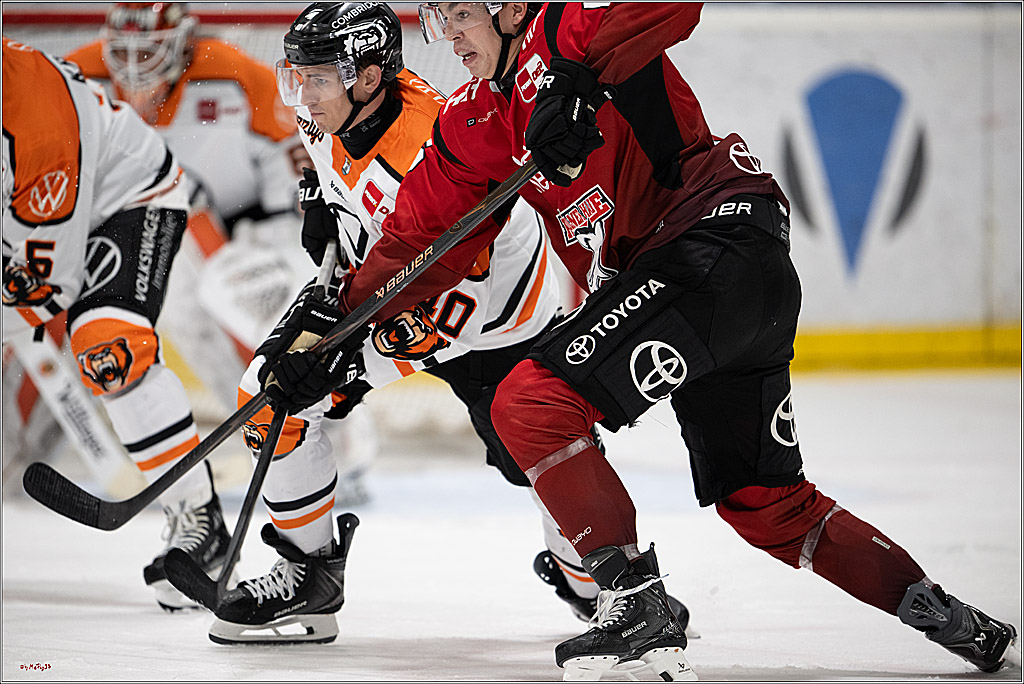 PENNY DEL 1 -Testspiel Kölner Haie - Grizzlys Wolfsburg; Köln, 03.09.2025