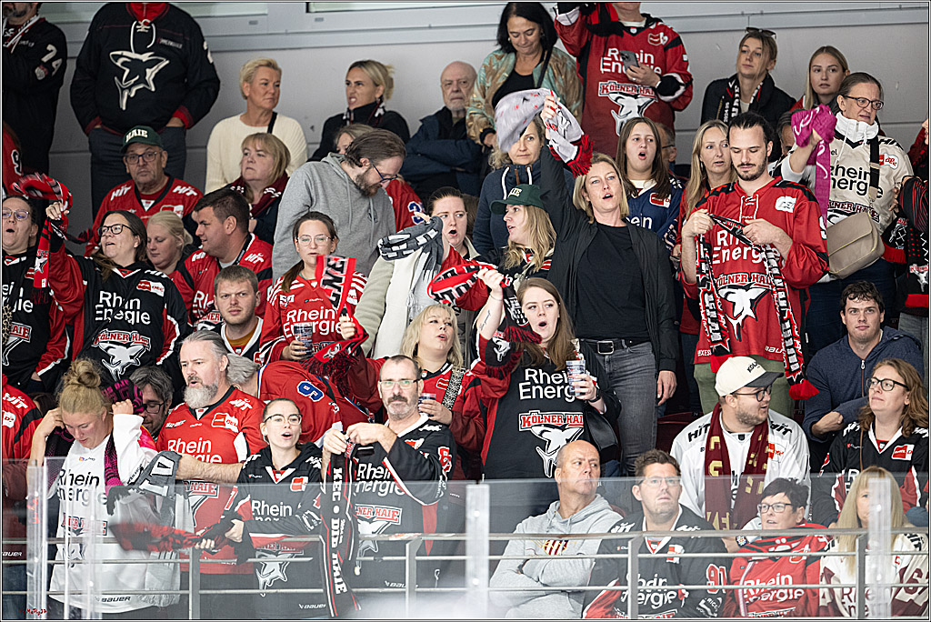 PENNY DEL 1 -Testspiel Kölner Haie - Grizzlys Wolfsburg; Köln, 03.09.2025