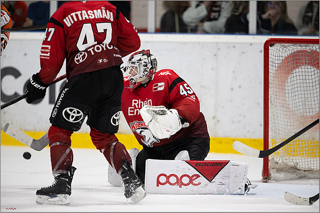 PENNY DEL 1 -Testspiel Kölner Haie - Grizzlys Wolfsburg; Köln, 03.09.2025