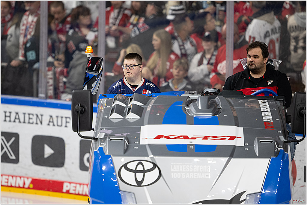PENNY DEL 1; Kölner Haie - Löwen Frankfurt; Köln, 26.10.2025