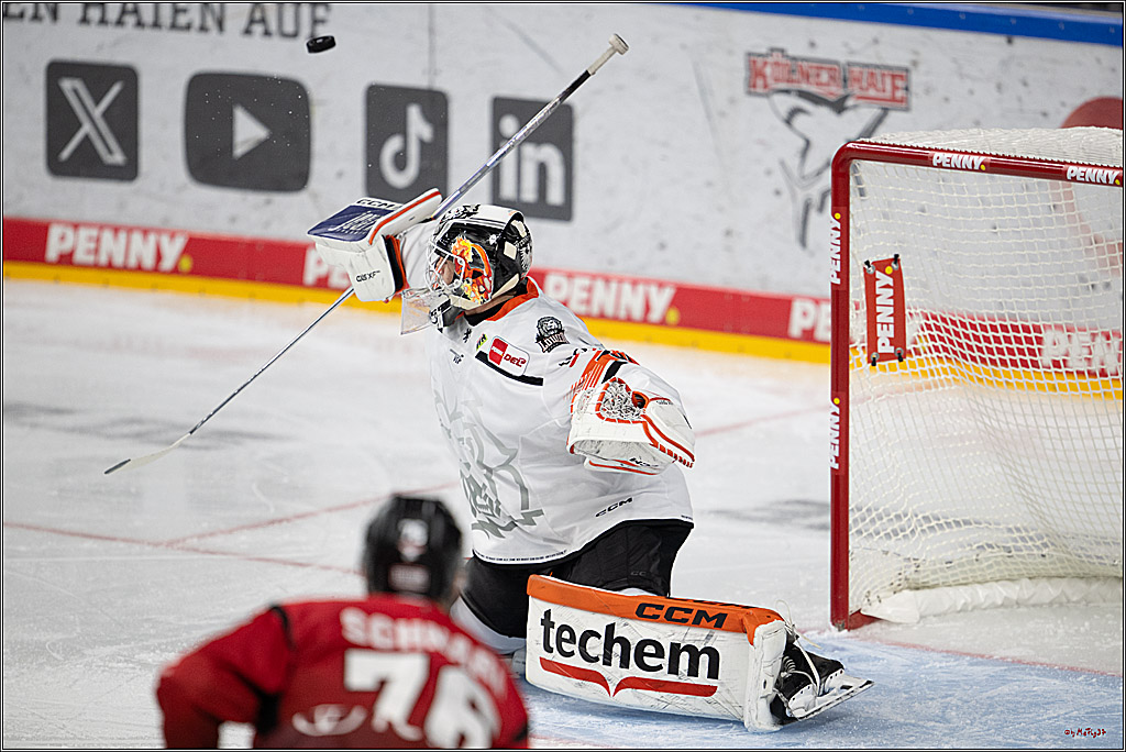 PENNY DEL 1; Kölner Haie - Löwen Frankfurt; Köln, 26.10.2025