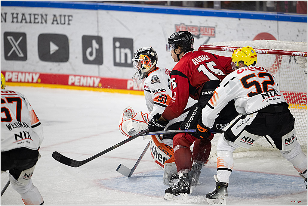PENNY DEL 1; Kölner Haie - Löwen Frankfurt; Köln, 26.10.2025