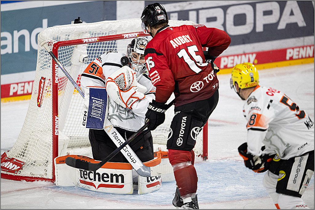 PENNY DEL 1; Kölner Haie - Löwen Frankfurt; Köln, 26.10.2025
