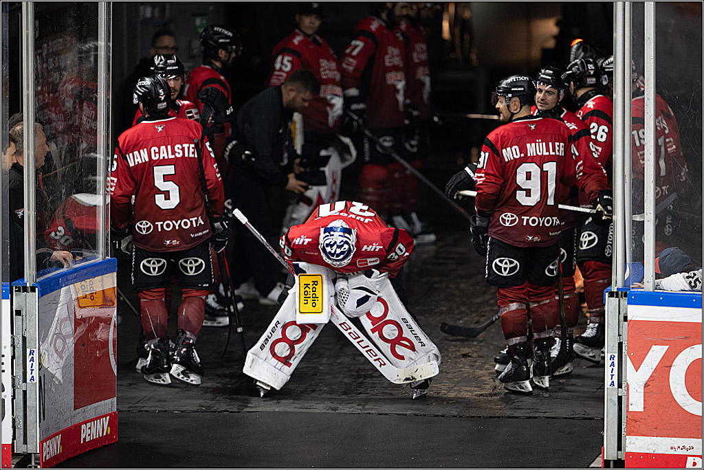 PENNY DEL 1; Kölner Haie - Löwen Frankfurt; Köln, 26.10.2025