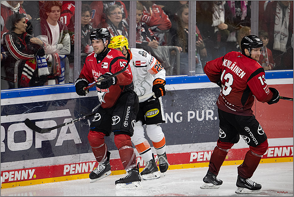 PENNY DEL 1; Kölner Haie - Löwen Frankfurt; Köln, 26.10.2025