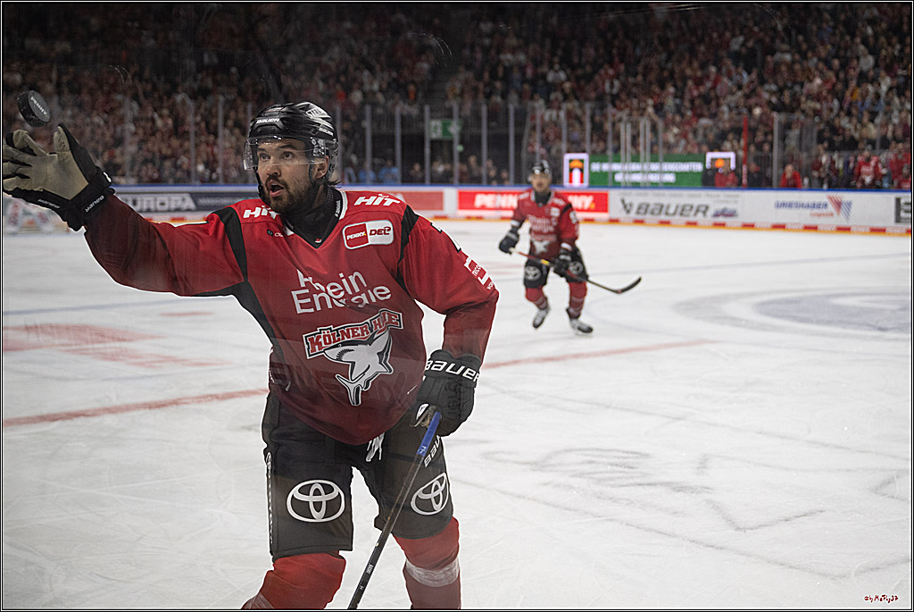 PENNY DEL 1; Kölner Haie - Löwen Frankfurt; Köln, 26.10.2025