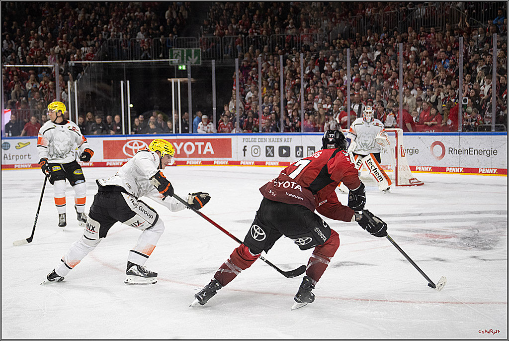 PENNY DEL 1; Kölner Haie - Löwen Frankfurt; Köln, 26.10.2025