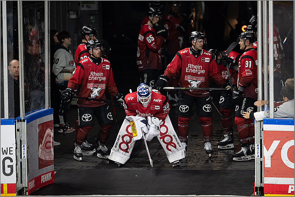 PENNY DEL 1; Kölner Haie - EHC Red Bull München; Köln, 02.11.2025