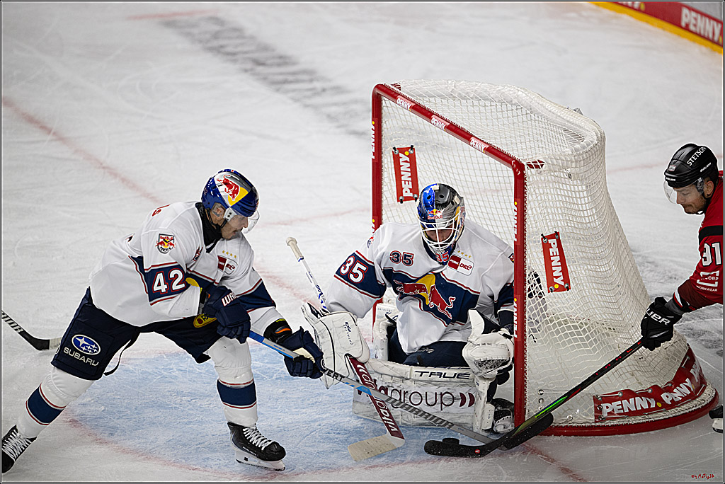 PENNY DEL 1; Kölner Haie - EHC Red Bull München; Köln, 02.11.2025