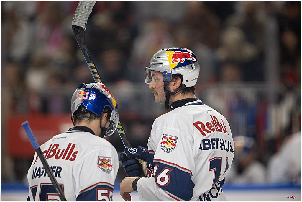 PENNY DEL 1; Kölner Haie - EHC Red Bull München; Köln, 02.11.2025
