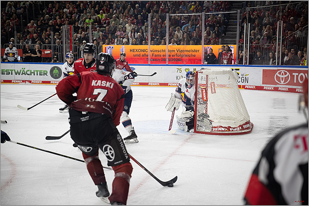 PENNY DEL 1; Kölner Haie - EHC Red Bull München; Köln, 02.11.2025