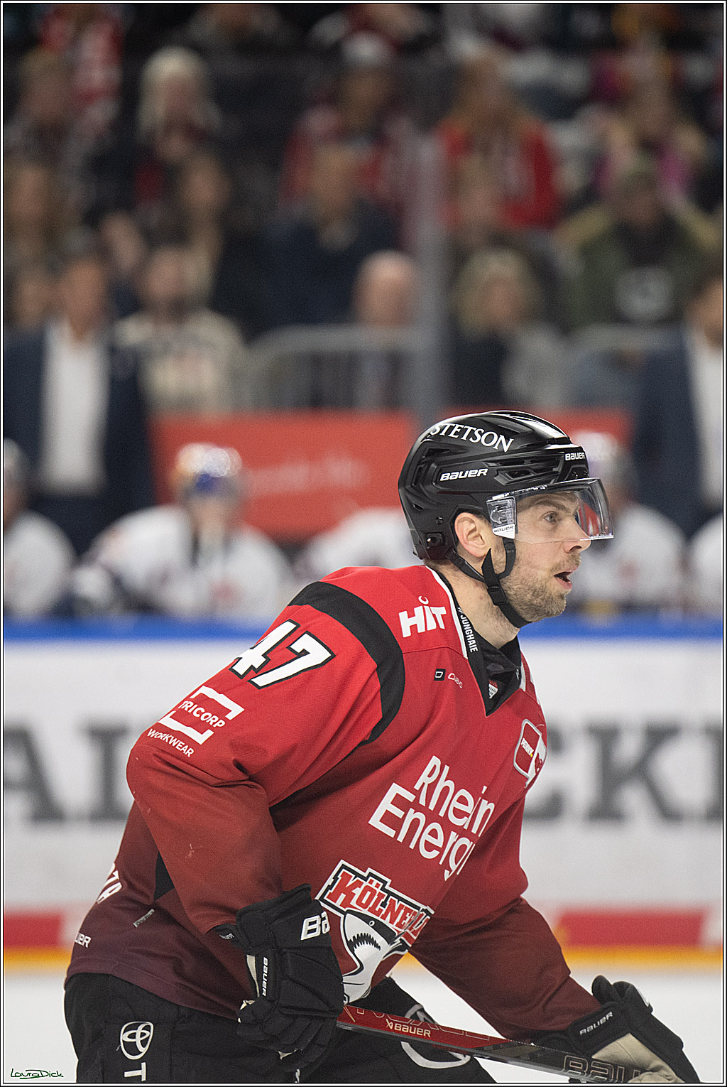 PENNY DEL 1; Koelner Haie - EHC Red Bull Muenchen; Koeln, 02.11.2025