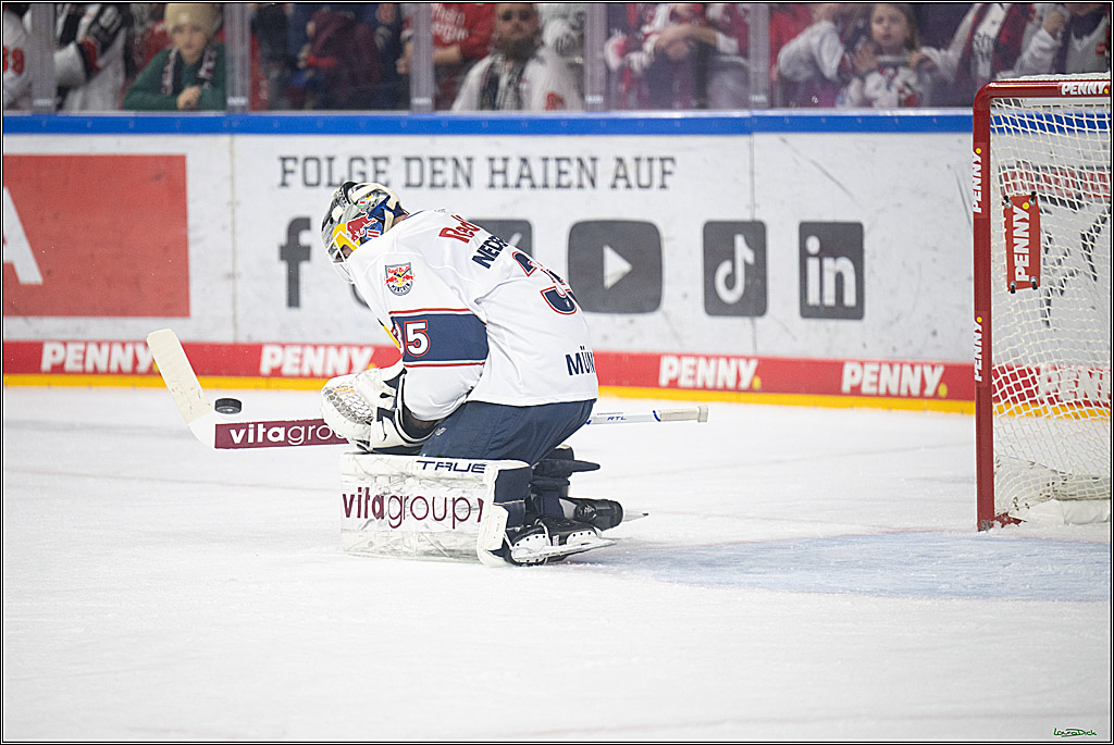PENNY DEL 1; Koelner Haie - EHC Red Bull Muenchen; Koeln, 02.11.2025