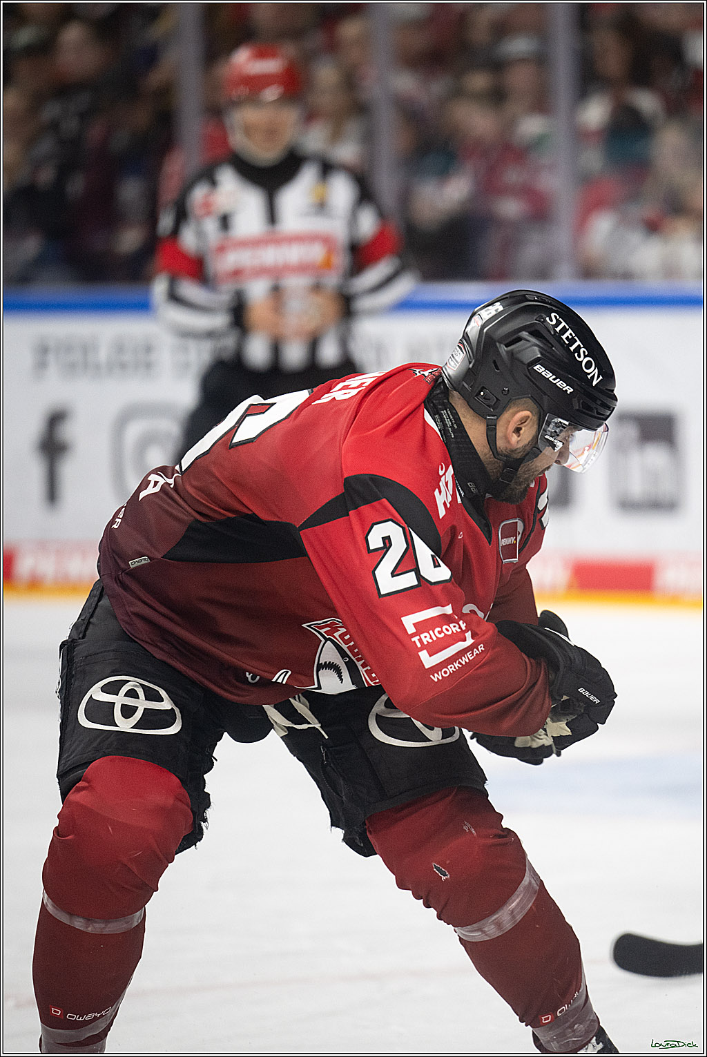 PENNY DEL 1; Koelner Haie - EHC Red Bull Muenchen; Koeln, 02.11.2025