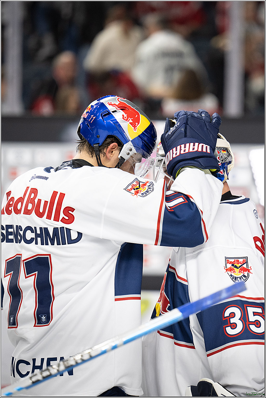 PENNY DEL 1; Koelner Haie - EHC Red Bull Muenchen; Koeln, 02.11.2025