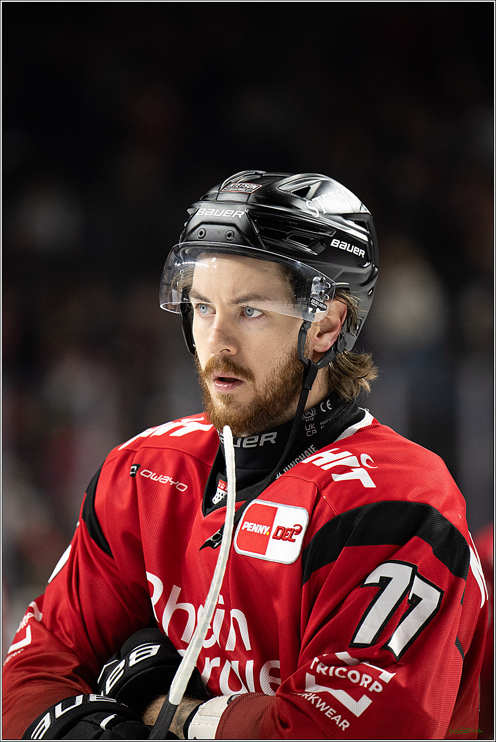 PENNY DEL 1; Koelner Haie - EHC Red Bull Muenchen; Koeln, 02.11.2025