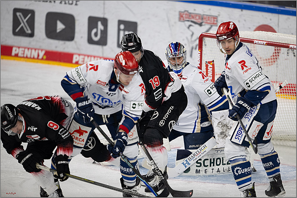 PENNY DEL 1; Kölner Haie - Schwenninger Wild Wings; Köln, 23.11.2025