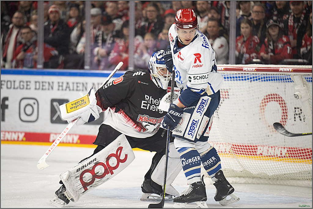 PENNY DEL 1; Kölner Haie - Schwenninger Wild Wings; Koeln, 23.11.2025