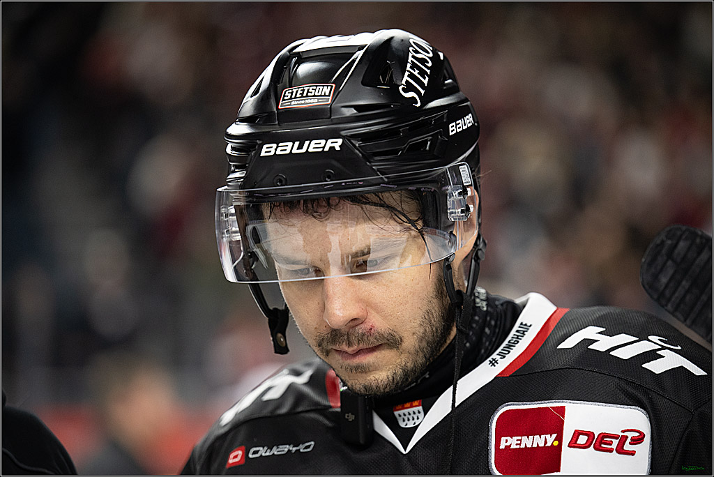 PENNY DEL 1; Kölner Haie - Schwenninger Wild Wings; Koeln, 23.11.2025
