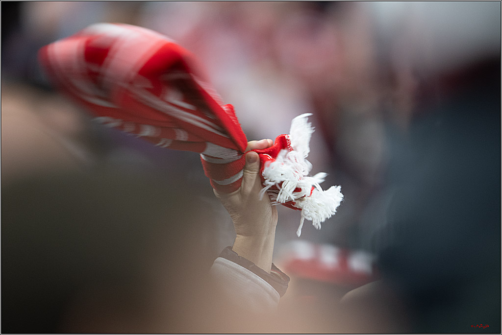 PENNY DEL 1; Kölner Haie - Nürnberg Ice Tigers; Köln, 05.12.2025