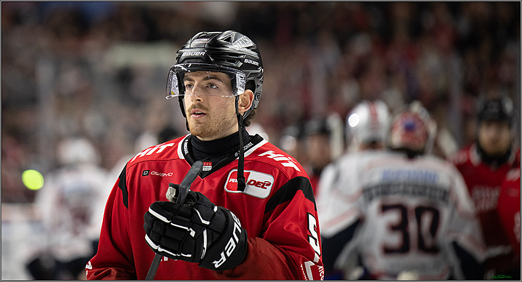 PENNY DEL; Kölner Haie-Nürnberg Ice Tigers; Köln, 05.12.2025