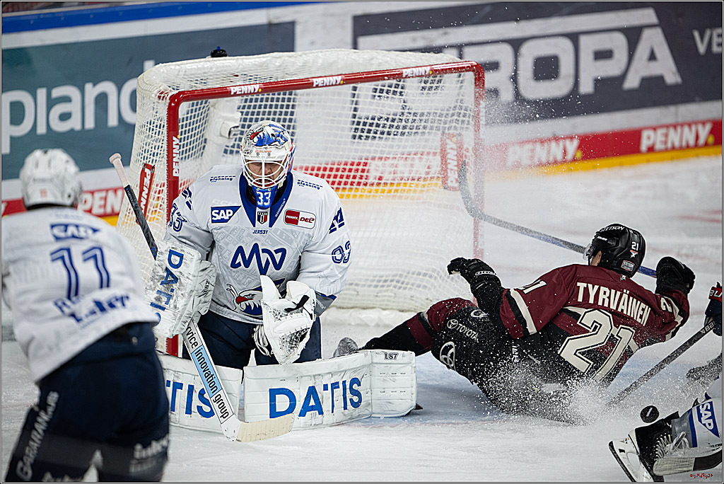 PENNY DEL 1; Kölner Haie - Adler Mannheim; Köln, 14.12.2025