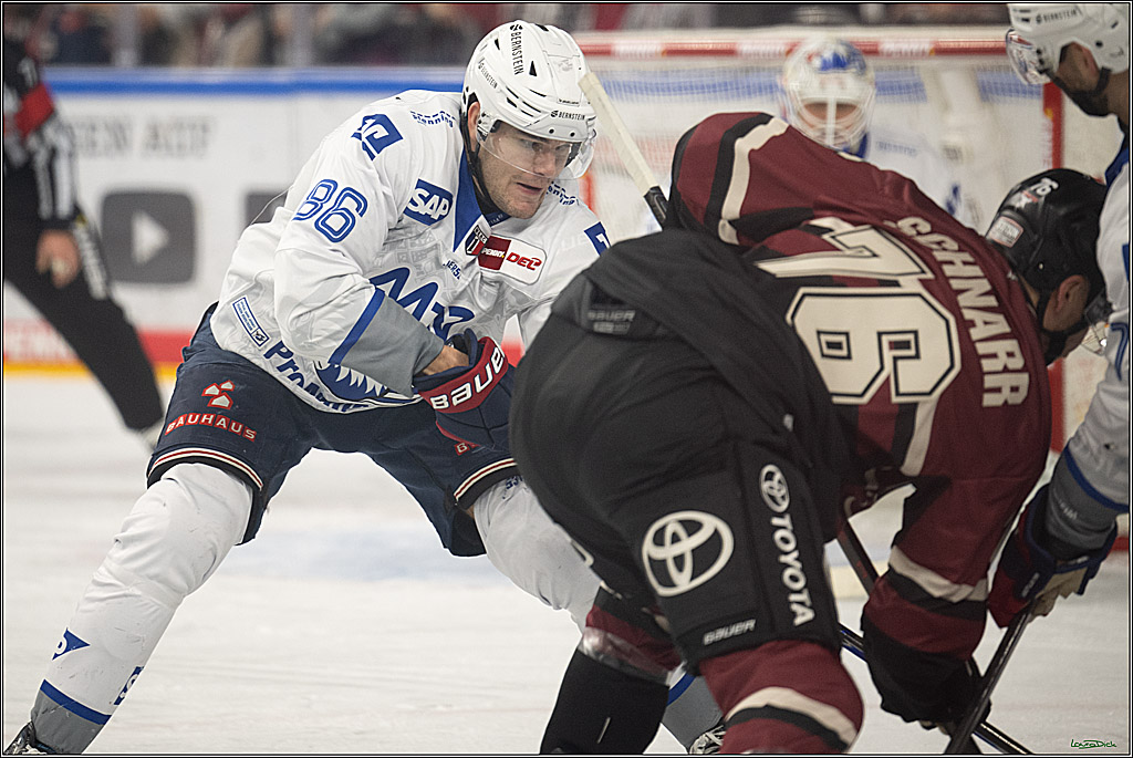 PENNY DEL; Kölner Haie-Adler Mannheim; Köln, 14.12.2025