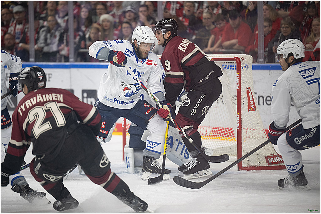 PENNY DEL; Kölner Haie-Adler Mannheim; Köln, 14.12.2025