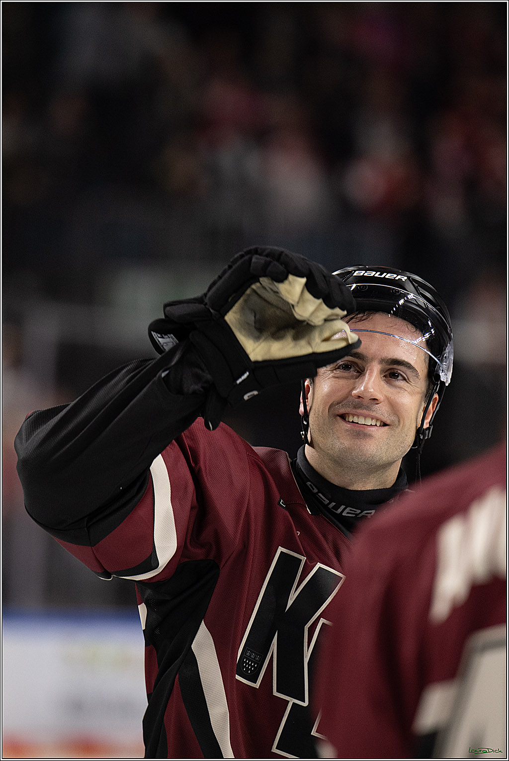 PENNY DEL; Kölner Haie-Adler Mannheim; Köln, 14.12.2025