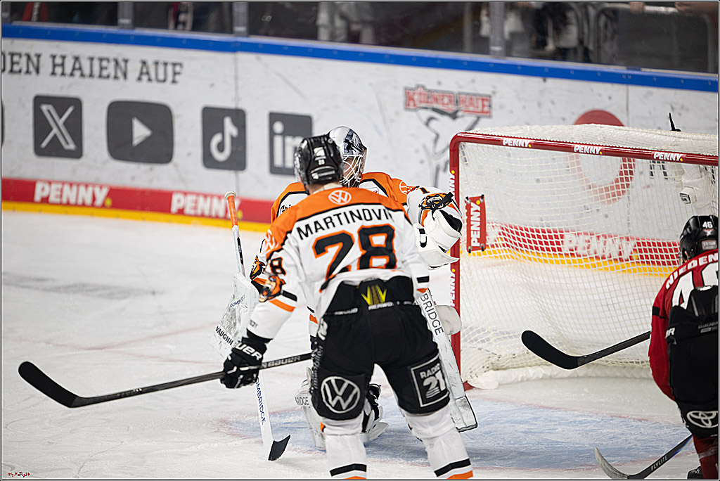 PENNY DEL 1; Kölner Haie - Grizzly Wolfsburg; Köln, 18.12.2025