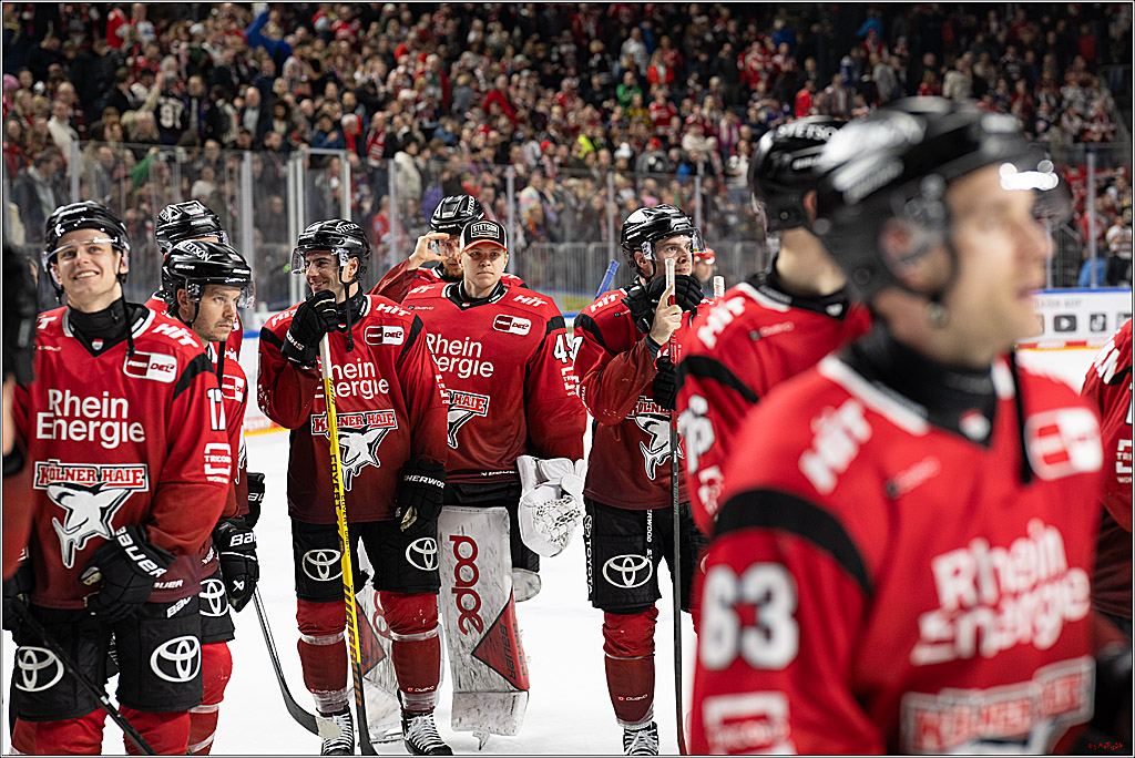 PENNY DEL; Kölner Haie - Grizzly Wolfsburg; Köln, 18.12.2025