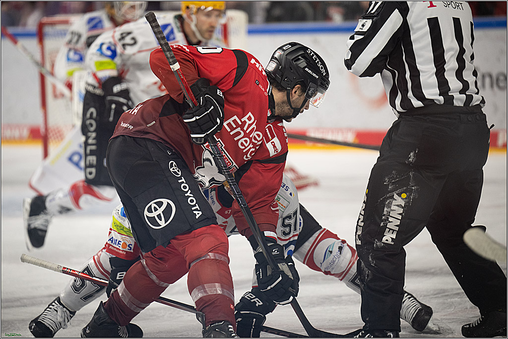DEL: Kölner Haie - Fischtown Pinguins Bremerhaven; Köln, 26.12.2025