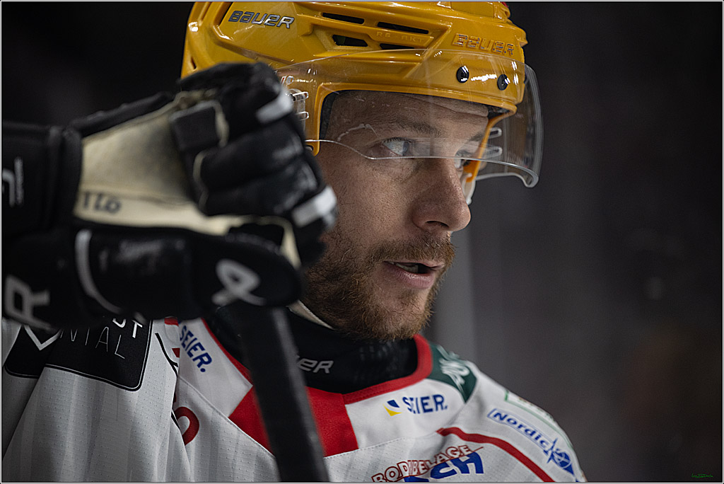 DEL: Kölner Haie - Fischtown Pinguins Bremerhaven; Köln, 26.12.2025