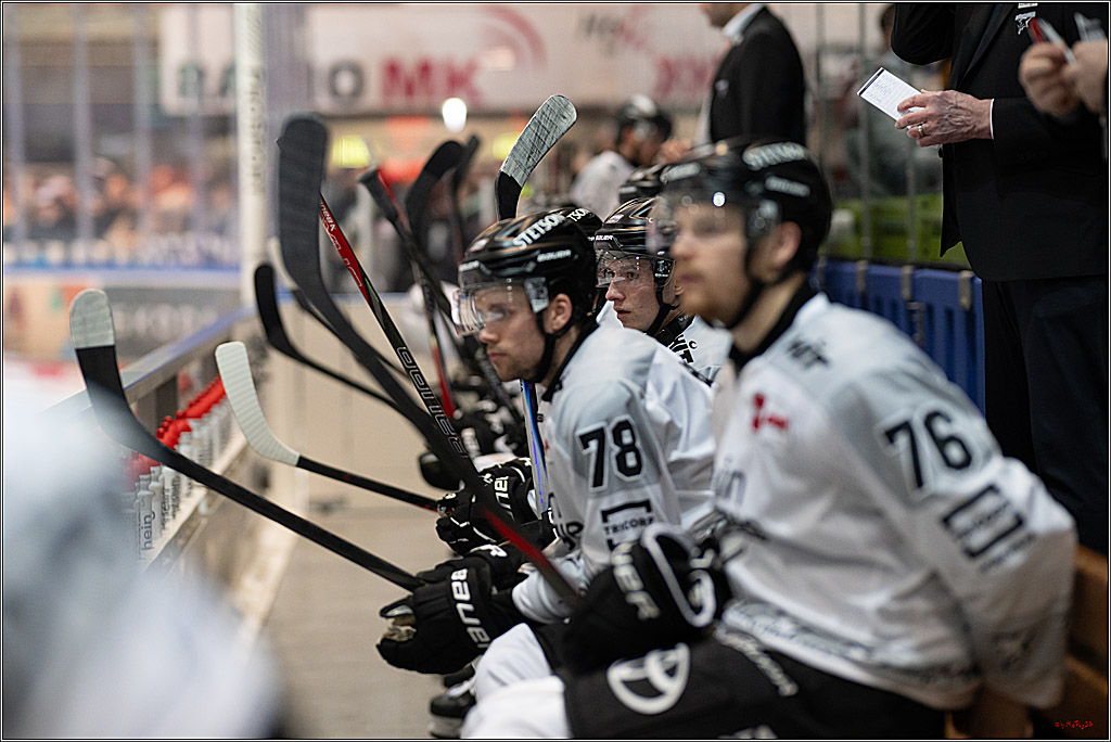 PENNY DEL: Iserlohn Roosters - Kölner Haie; Iserlohn, 30.12.2025