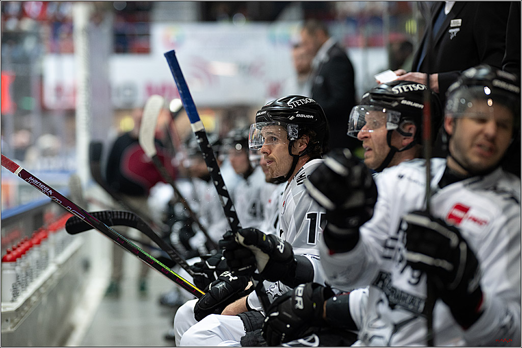 PENNY DEL: Iserlohn Roosters - Kölner Haie; Iserlohn, 30.12.2025