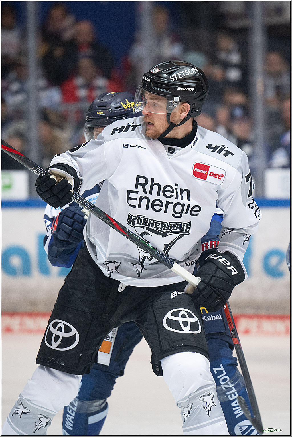 PENNY DEL: Iserlohn Roosters - Kölner Haie; Iserlohn, 30.12.2025