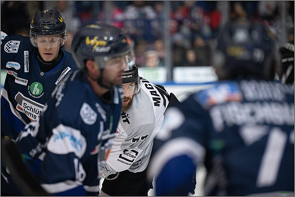 PENNY DEL: Iserlohn Roosters - Kölner Haie; Iserlohn, 30.12.2025