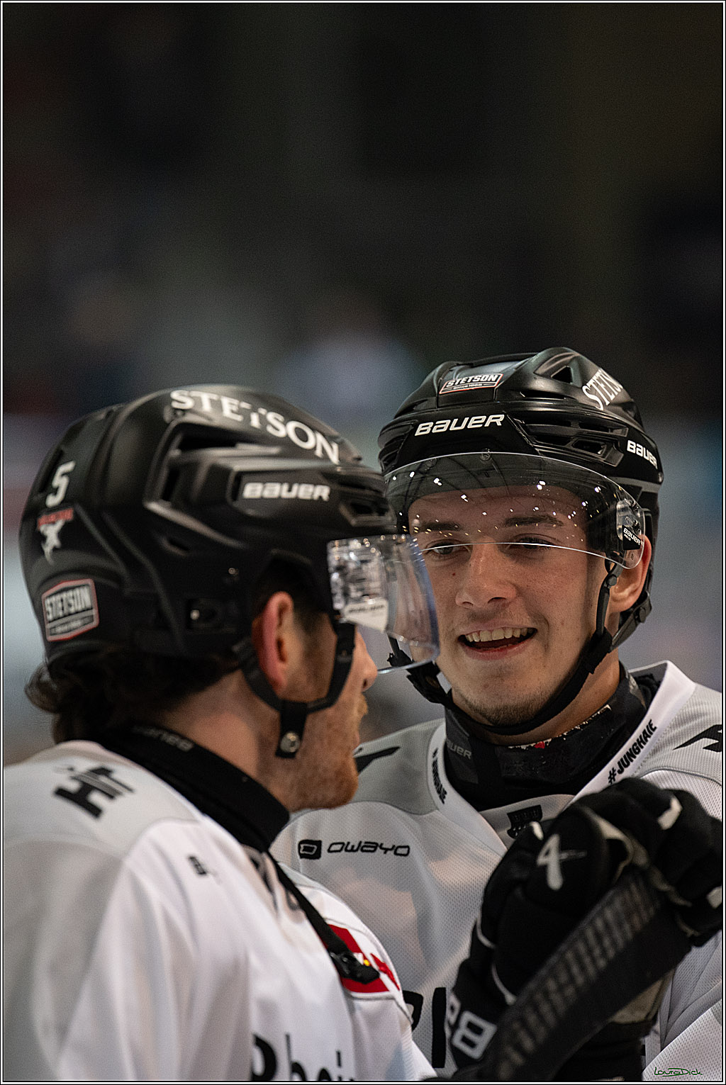 PENNY DEL: Iserlohn Roosters - Kölner Haie; Iserlohn, 30.12.2025