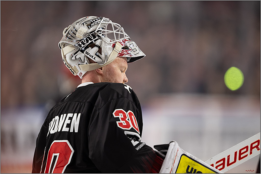 PENNY DEL 1; Kölner Haie - Nürnberg Ice Tigers; Köln, 25.01.2026