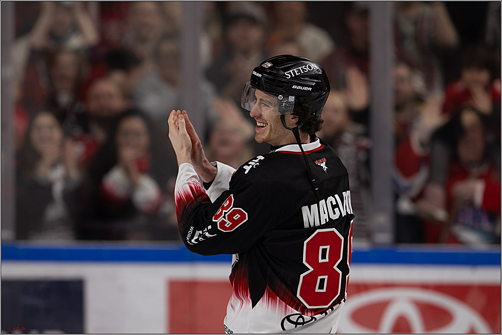 PENNY DEL 1; Kölner Haie - Nürnberg Ice Tigers; Köln, 25.01.2026