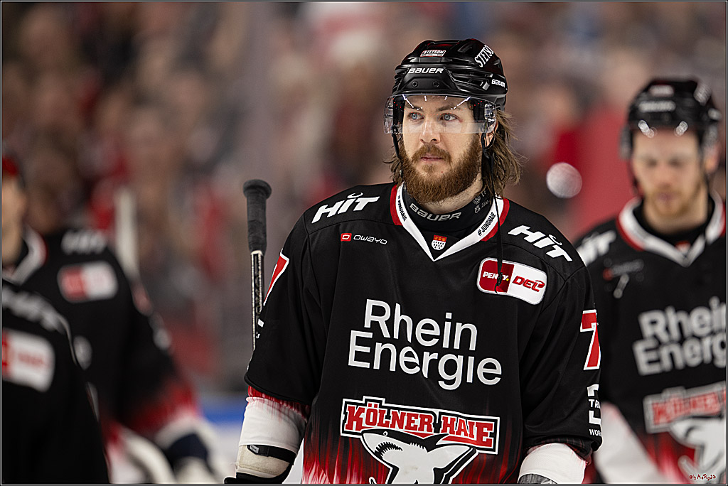 PENNY DEL 1; Kölner Haie - Nürnberg Ice Tigers; Köln, 25.01.2026