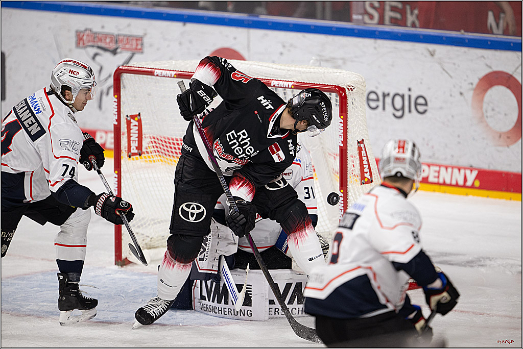 PENNY DEL 1; Kölner Haie - Nürnberg Ice Tigers; Köln, 25.01.2026