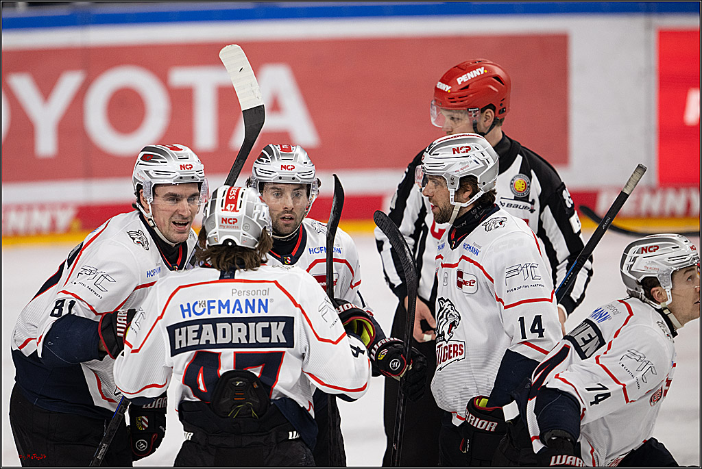 PENNY DEL 1; Kölner Haie - Nürnberg Ice Tigers; Köln, 25.01.2026