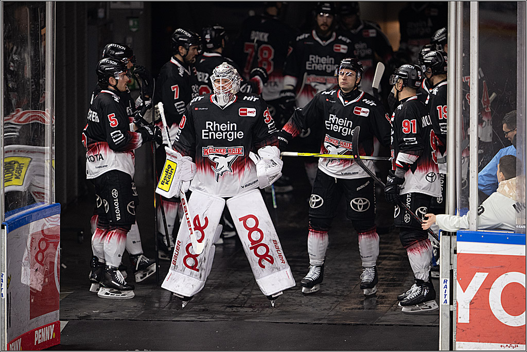 PENNY DEL 1; Kölner Haie - Nürnberg Ice Tigers; Köln, 25.01.2026