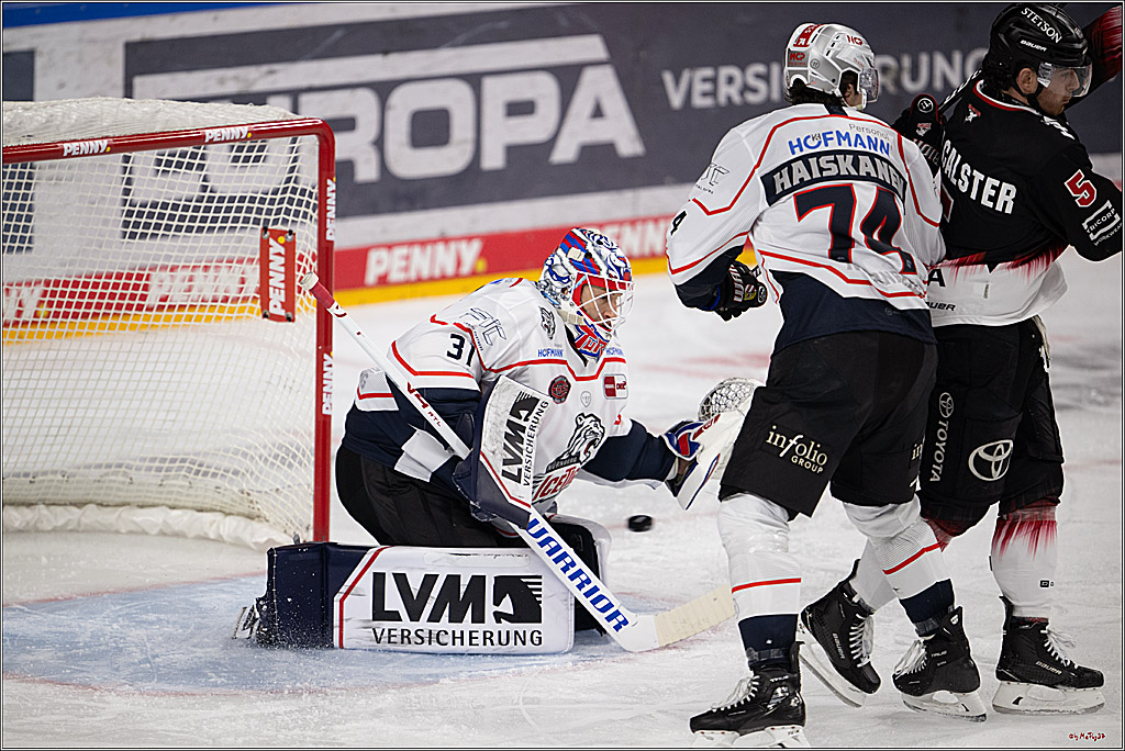 PENNY DEL 1; Kölner Haie - Nürnberg Ice Tigers; Köln, 25.01.2026