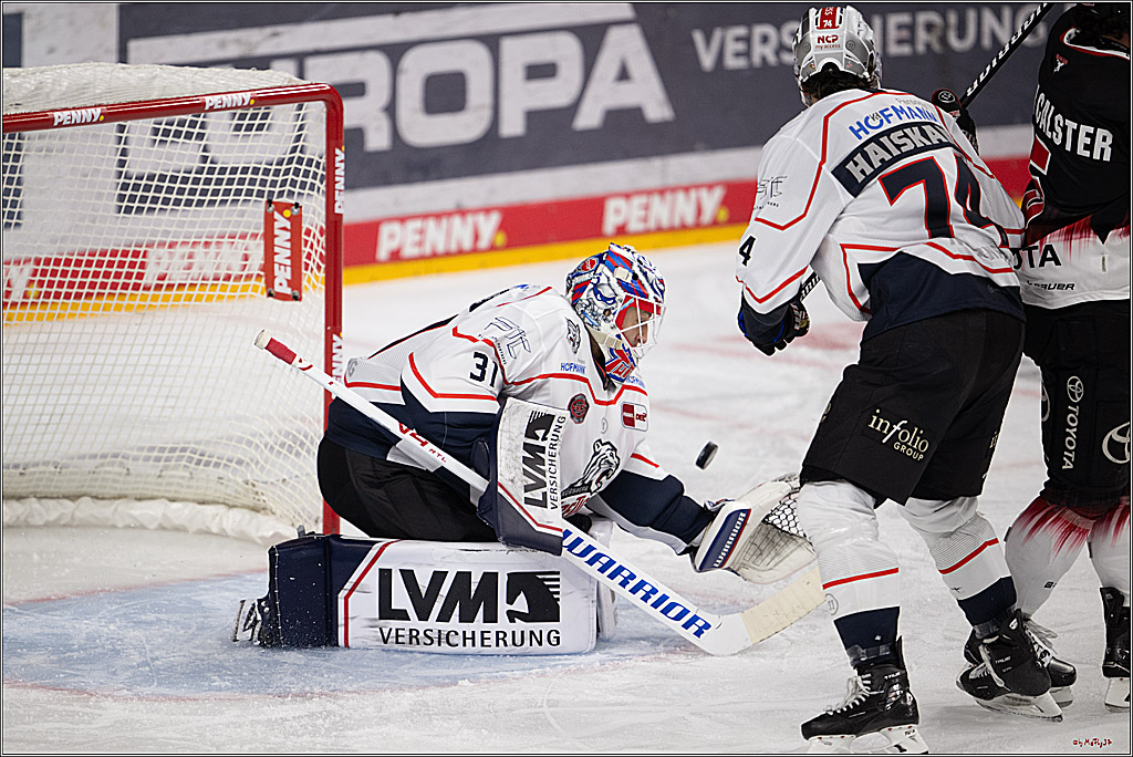 PENNY DEL 1; Kölner Haie - Nürnberg Ice Tigers; Köln, 25.01.2026